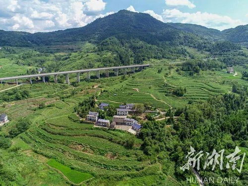 非凡十年看市州 十年,仙境张家界使了哪些招数, 峰 迷全世界