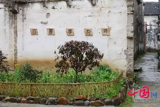 杭州富阳区新桐乡 群策群力让乡村美上加美