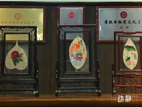 守望丨一叶一 世界 ,一线一 阡陌