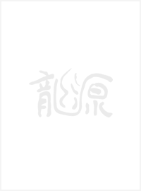 李军声 红土地孕育的 砂石画之父