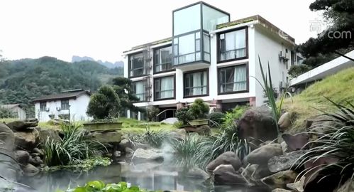 民宿里有了新玩法 湖南张家界 生态游 受追捧