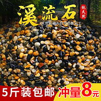 画法几何造景装饰 画法几何 南美风枯木造景多少钱