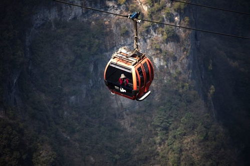 张家界挤满韩国人，真相揭示 砂石画的魅力